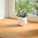 vindueskarme 2 stk lysebrun 80x30x2 cm massivt egetræ