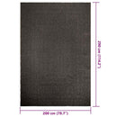 gulvtæppe ZIZUR 200x290cm jute-look indendørs udendørs