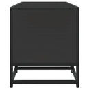 tv-bord 120x35x41 cm konstrueret træ og metal sort
