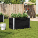 plantekasse 100x50 cm massivt fyrretræ sort