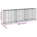gabionkurv med cover 300x50x100 cm galvaniseret jern