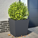 plantekrukker 2 stk. 50x50x50 cm stål antracitgrå