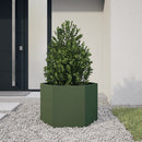 plantekasse 69x60x45 cm sekskantet stål olivengrøn
