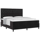 Box spring seng med madras Sort 180 x 200 cm Fløjl