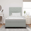 Box spring seng med hovedgærde Lysegrå 120 x 190 cm Fløjl