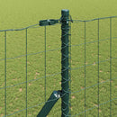 Eurohegn Ground Fix 10 x 1,6 m PVC-belagt stål Grøn Mesh