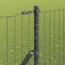 Eurohegn Ground Fix 10 x 1,6 m PVC-belagt stål Grå Mesh