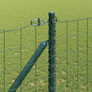 Euro Hegn med Spidser 25 x 1 m PVC-belagt stål Grøn Mesh