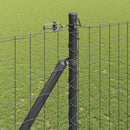 Euro Hegn med Spidser 10 x 1,6 m PVC-belagt stål Grå Mesh
