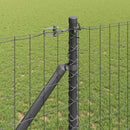 Euro Hegn med Spidser 10 x 1,4 m PVC-belagt stål Grå Mesh