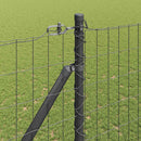 Euro Hegn med Spidser 10 x 1,6 m PVC-belagt stål Grå Mesh
