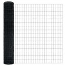 Euro Hegn med Spidser 10 x 1,6 m PVC-belagt stål Grå Mesh