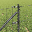 Euro Hegn med Spidser 10 x 0,6 m PVC-belagt stål Grå Mesh