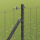 Euro Hegn med Spidser 10 x 1,6 m PVC-belagt stål Grå Mesh