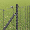 Euro Hegn med Spidser 25 x 1,2 m PVC-belagt stål Grå Mesh