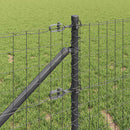Euro Hegn med Spidser 25 x 1 m PVC-belagt stål Grå Mesh