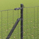 Euro Hegn med Spidser 10 x 1,6 m PVC-belagt stål Grå Mesh