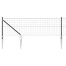 Euro Hegn med Spidser 50 x 0,4 m PVC-belagt stål Grå Mesh