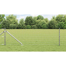 Eurohegn med pigge 25 x 0,8 m Galvaniseret stål Sølv Mesh