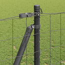 Eurohegn med betonbund 25 x 1,2 m PVC-belagt stål Grå Mesh