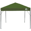 Canopy Tent Grøn 243 x 243 x 251 cm Stof