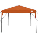 Canopy Tent Orange 290 x 290 x 251 cm Stof