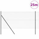 Hexagonal hegnsgrundfiks 25 x 1,4 m PVC-belagt stål Grå Mesh