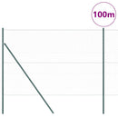 Hexagonal hegnsgrundfiks 100 x 1,6 m PVC-belagt stål Grå Mesh