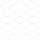 Hexagonal hegnsgrundfiks 25 x 1,6 m Galvaniseret stål Sølv Mesh