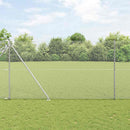 Sekskantet hegn med stolpe 50 x 1,5 m Galvaniseret stål Sølv