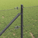 Svejset trådhegn med spidser 25 x 0,8 m PVC-belagt Stål Grå