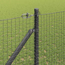 Svejset trådhegn med spidser 25 x 1,2 m PVC-belagt Stål Grå