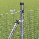 Svejset Trådhegn med Betonsokkel 25 x 0,8 m Galvaniseret stål