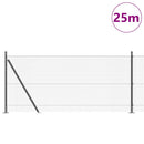 Svejset Trådhegn med Betonsokkel 25 x 1 m PVC-belagt stål Grå
