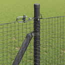 Svejset Trådhegn med Betonsokkel 100 x 0,8 m PVC-belagt stål