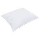 Hovedpude 50 x 70 cm Bomuld Hvid