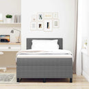 LED Box Spring Bed Lys Grå og Hvid 120 x 190 cm Velourstof