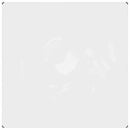 klar presenning med øjer 2x2 m PVC
