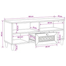 TV-skab 100 x 33 x 46 cm Massivt mangotræ