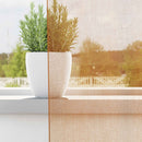 voile-gardiner med løkker 2 stk. 140x225 cm terrakottafarvet