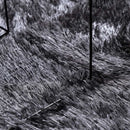 shaggy gulvtæppe NAVARRA 240x340 cm høje luv polyester mørkegrå