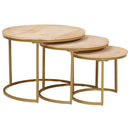Nesting Kaffeborde 3 pcs Brun Massivt mangotræ og stål