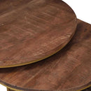 Nesting Kaffeborde 2 pcs Mørk Brun Massivt mangotræ og stål