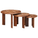 Nesting Kaffeborde 3 pcs Flerfarvet Solid genvundet træ