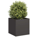 plantekasse 40x40x40 cm koldvalset stål sort - Xlshop.dk