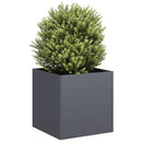 plantekasse 40x40x40 cm koldvalset stål antracitgrå - Xlshop.dk