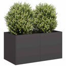 plantekasse 80x40x40 cm koldvalset stål sort - Xlshop.dk