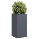 plantekasse 40x40x80 cm koldvalset stål antracitgrå