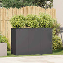 plantekasse 120x40x80 cm koldvalset stål sort