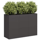 plantekasse 120x40x80 cm koldvalset stål sort